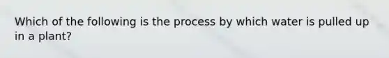 Which of the following is the process by which water is pulled up in a plant?