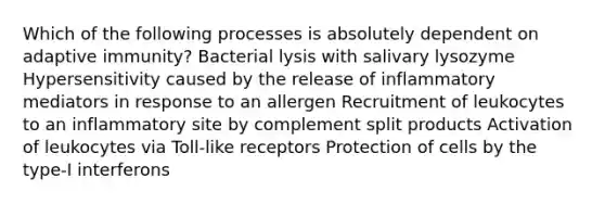 Which of the following processes is absolutely dependent on adaptive immunity? Bacterial lysis with salivary lysozyme Hypersensitivity caused by the release of inflammatory mediators in response to an allergen Recruitment of leukocytes to an inflammatory site by complement split products Activation of leukocytes via Toll-like receptors Protection of cells by the type-I interferons