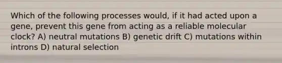 Which of the following processes would, if it had acted upon a gene, prevent this gene from acting as a reliable molecular clock? A) neutral mutations B) genetic drift C) mutations within introns D) natural selection