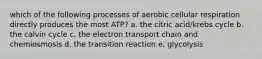 which of the following processes of aerobic cellular respiration directly produces the most ATP? a. the citric acid/krebs cycle b. the calvin cycle c. the electron transport chain and chemiosmosis d. the transition reaction e. glycolysis