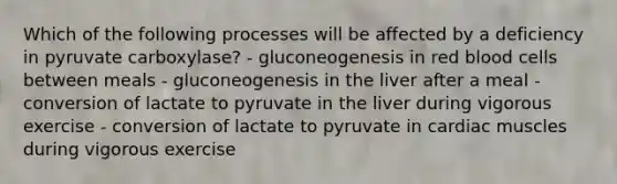 Which of the following processes will be affected by a deficiency in pyruvate carboxylase? - gluconeogenesis in red blood cells between meals - gluconeogenesis in the liver after a meal - conversion of lactate to pyruvate in the liver during vigorous exercise - conversion of lactate to pyruvate in cardiac muscles during vigorous exercise