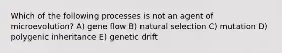 Which of the following processes is not an agent of microevolution? A) gene flow B) natural selection C) mutation D) polygenic inheritance E) genetic drift