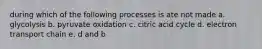 during which of the following processes is ate not made a. glycolysis b. pyruvate oxidation c. citric acid cycle d. electron transport chain e. d and b