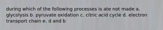 during which of the following processes is ate not made a. glycolysis b. pyruvate oxidation c. citric acid cycle d. electron transport chain e. d and b