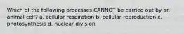 Which of the following processes CANNOT be carried out by an animal cell? a. cellular respiration b. cellular reproduction c. photosynthesis d. nuclear division
