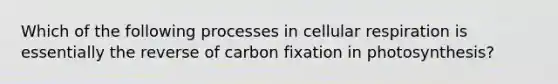 Which of the following processes in cellular respiration is essentially the reverse of carbon fixation in photosynthesis?