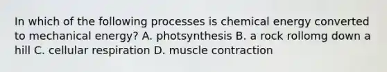 In which of the following processes is chemical energy converted to mechanical energy? A. photsynthesis B. a rock rollomg down a hill C. cellular respiration D. muscle contraction