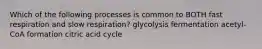 Which of the following processes is common to BOTH fast respiration and slow respiration? glycolysis fermentation acetyl-CoA formation citric acid cycle