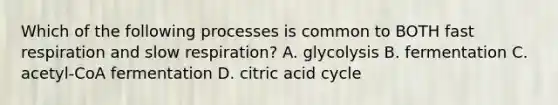 Which of the following processes is common to BOTH fast respiration and slow respiration? A. glycolysis B. fermentation C. acetyl-CoA fermentation D. citric acid cycle