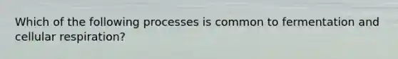 Which of the following processes is common to fermentation and cellular respiration?