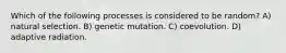 Which of the following processes is considered to be random? A) natural selection. B) genetic mutation. C) coevolution. D) adaptive radiation.