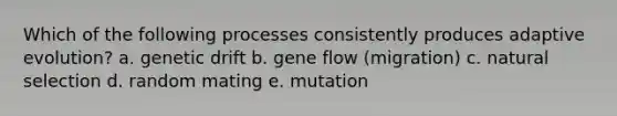 Which of the following processes consistently produces adaptive evolution? a. genetic drift b. gene flow (migration) c. natural selection d. random mating e. mutation