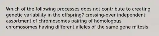 Which of the following processes does not contribute to creating genetic variability in the offspring? crossing-over independent assortment of chromosomes pairing of homologous chromosomes having different alleles of the same gene mitosis