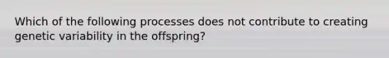 Which of the following processes does not contribute to creating genetic variability in the offspring?