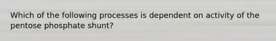 Which of the following processes is dependent on activity of the pentose phosphate shunt?