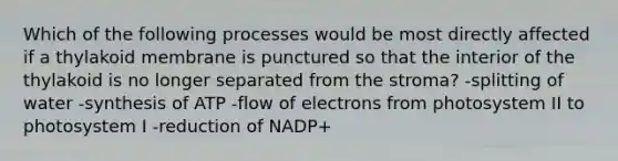 Which of the following processes would be most directly affected if a thylakoid membrane is punctured so that the interior of the thylakoid is no longer separated from the stroma? -splitting of water -synthesis of ATP -flow of electrons from photosystem II to photosystem I -reduction of NADP+