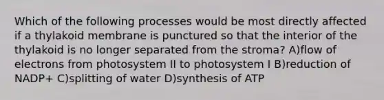 Which of the following processes would be most directly affected if a thylakoid membrane is punctured so that the interior of the thylakoid is no longer separated from the stroma? A)flow of electrons from photosystem II to photosystem I B)reduction of NADP+ C)splitting of water D)synthesis of ATP