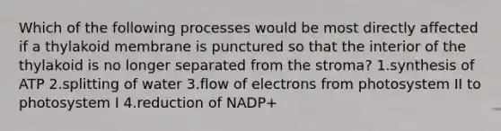 Which of the following processes would be most directly affected if a thylakoid membrane is punctured so that the interior of the thylakoid is no longer separated from the stroma? 1.synthesis of ATP 2.splitting of water 3.flow of electrons from photosystem II to photosystem I 4.reduction of NADP+