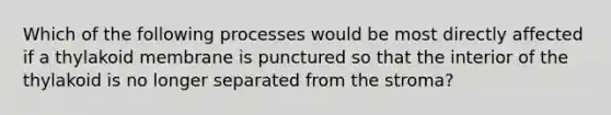 Which of the following processes would be most directly affected if a thylakoid membrane is punctured so that the interior of the thylakoid is no longer separated from the stroma?