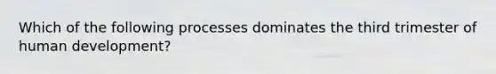 Which of the following processes dominates the third trimester of human development?