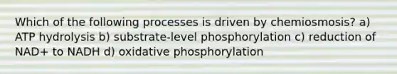 Which of the following processes is driven by chemiosmosis? a) ATP hydrolysis b) substrate-level phosphorylation c) reduction of NAD+ to NADH d) <a href='https://www.questionai.com/knowledge/kFazUb9IwO-oxidative-phosphorylation' class='anchor-knowledge'>oxidative phosphorylation</a>