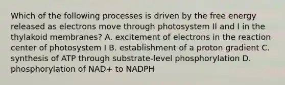 Which of the following processes is driven by the free energy released as electrons move through photosystem II and I in the thylakoid membranes? A. excitement of electrons in the reaction center of photosystem I B. establishment of a proton gradient C. synthesis of ATP through substrate-level phosphorylation D. phosphorylation of NAD+ to NADPH