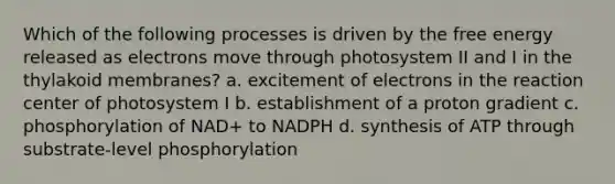 Which of the following processes is driven by the free energy released as electrons move through photosystem II and I in the thylakoid membranes? a. excitement of electrons in the reaction center of photosystem I b. establishment of a proton gradient c. phosphorylation of NAD+ to NADPH d. synthesis of ATP through substrate-level phosphorylation