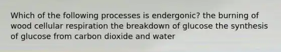 Which of the following processes is endergonic? the burning of wood cellular respiration the breakdown of glucose the synthesis of glucose from carbon dioxide and water