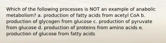 Which of the following processes is NOT an example of anabolic metabolism? a. production of fatty acids from acetyl CoA b. production of glycogen from glucose c. production of pyruvate from glucose d. production of proteins from amino acids e. production of glucose from fatty acids