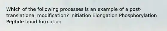 Which of the following processes is an example of a post-translational modification? Initiation Elongation Phosphorylation Peptide bond formation