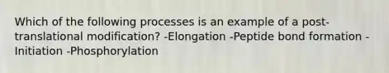 Which of the following processes is an example of a post-translational modification? -Elongation -Peptide bond formation -Initiation -Phosphorylation