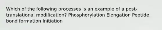 Which of the following processes is an example of a post-translational modification? Phosphorylation Elongation Peptide bond formation Initiation