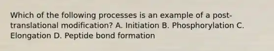 Which of the following processes is an example of a post-translational modification? A. Initiation B. Phosphorylation C. Elongation D. Peptide bond formation