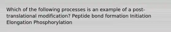 Which of the following processes is an example of a post-translational modification? Peptide bond formation Initiation Elongation Phosphorylation