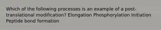 Which of the following processes is an example of a post-translational modification? Elongation Phosphorylation Initiation Peptide bond formation