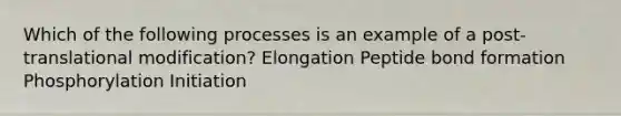 Which of the following processes is an example of a post-translational modification? Elongation Peptide bond formation Phosphorylation Initiation