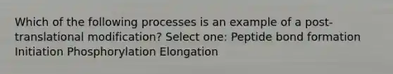 Which of the following processes is an example of a post-translational modification? Select one: Peptide bond formation Initiation Phosphorylation Elongation