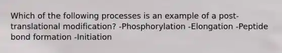 Which of the following processes is an example of a post-translational modification? -Phosphorylation -Elongation -Peptide bond formation -Initiation