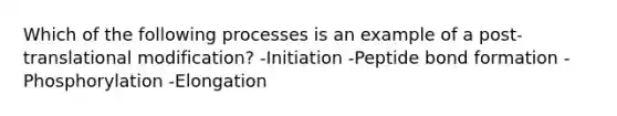 Which of the following processes is an example of a post-translational modification? -Initiation -Peptide bond formation -Phosphorylation -Elongation