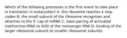 Which of the following processes is the first event to take place in translation in eukaryotes? A. the ribosome reaches a stop codon B. the small subunit of the ribosome recognizes and attaches to the 5′ cap of mRNA C. base pairing of activated methionine-tRNA to AUG of the messenger RNA D. binding of the larger ribosomal subunit to smaller ribosomal subunits