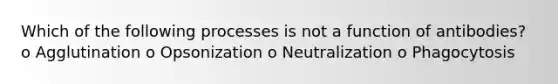 Which of the following processes is not a function of antibodies? o Agglutination o Opsonization o Neutralization o Phagocytosis