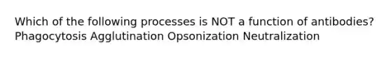 Which of the following processes is NOT a function of antibodies? Phagocytosis Agglutination Opsonization Neutralization