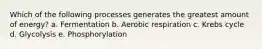 Which of the following processes generates the greatest amount of energy? a. Fermentation b. Aerobic respiration c. Krebs cycle d. Glycolysis e. Phosphorylation