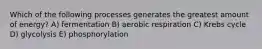 Which of the following processes generates the greatest amount of energy? A) fermentation B) aerobic respiration C) Krebs cycle D) glycolysis E) phosphorylation