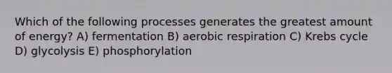 Which of the following processes generates the greatest amount of energy? A) fermentation B) aerobic respiration C) Krebs cycle D) glycolysis E) phosphorylation