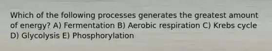 Which of the following processes generates the greatest amount of energy? A) Fermentation B) Aerobic respiration C) Krebs cycle D) Glycolysis E) Phosphorylation