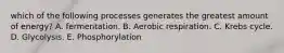 which of the following processes generates the greatest amount of energy? A. fermentation. B. Aerobic respiration. C. Krebs cycle. D. Glycolysis. E. Phosphorylation