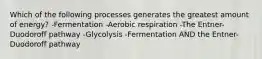 Which of the following processes generates the greatest amount of energy? -Fermentation -Aerobic respiration -The Entner-Duodoroff pathway -Glycolysis -Fermentation AND the Entner-Duodoroff pathway