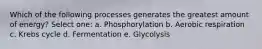 Which of the following processes generates the greatest amount of energy? Select one: a. Phosphorylation b. Aerobic respiration c. Krebs cycle d. Fermentation e. Glycolysis