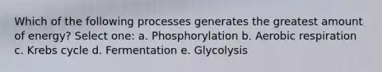 Which of the following processes generates the greatest amount of energy? Select one: a. Phosphorylation b. Aerobic respiration c. Krebs cycle d. Fermentation e. Glycolysis